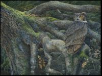Bird of prey/ deep woods hunting owl