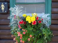 Rustic Window Box