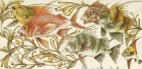 Anton Seder - Fantastic Fishes - Art nouveau motifs and design elements.