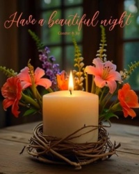 Goodnight - Have a beautiful evening
