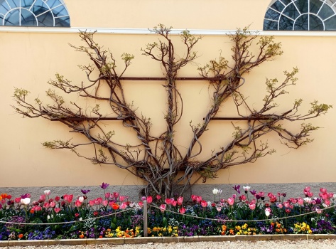 Solve spring jigsaw puzzle online with 130 pieces