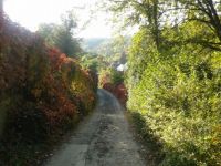 Podzimní cesta