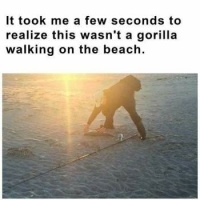 A gorilla?