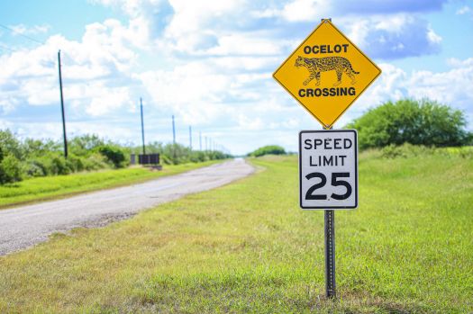 solve-texas-road-sign-jigsaw-puzzle-online-with-96-pieces