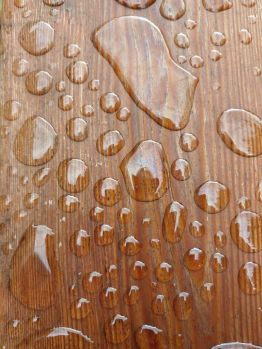Raindrops on wood