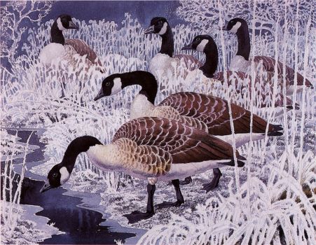 Charles Tunnicliffe--Geese and Hoar Frost