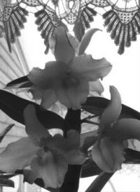 Me trying to get arty!