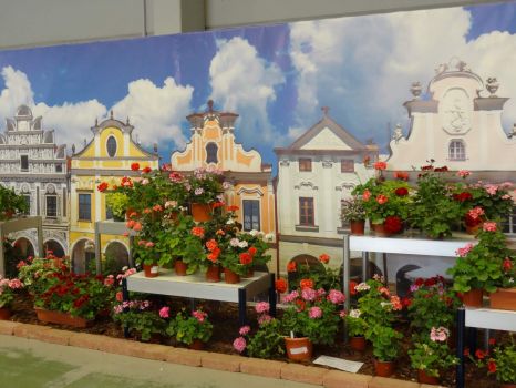 Solve Floral exposition jigsaw puzzle online with 300 pieces