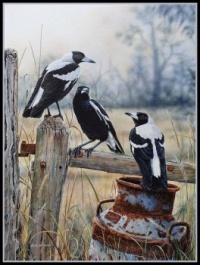 Art - Birds - Magpies 3 - On Farmland (Resize: 12 - 130 Pieces)