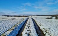 Schneelandschaft