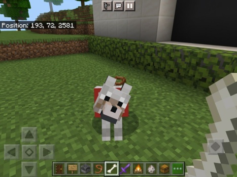 Solve My pet dog in Minecraft jigsaw puzzle online with 12 pieces