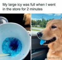 Wobblybear's Fun Stuff (wbfs) - 🥛 🐶 Caught red hande.... er... blue tongued 😄