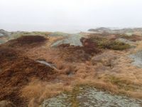 Spring drizzle in archipelago