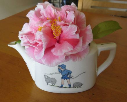 My frilly Camellia...