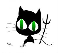 CA 353 - Witches cat