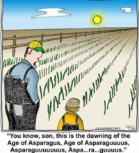 The age of.....  :-)