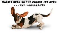 Gotta love the basset ears