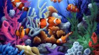 Colorful-underwater-coral-and-fish