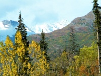 On the way to Valdes, Alaska