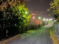 I colori dell'autunno