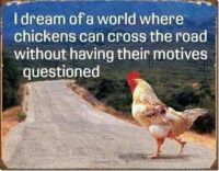 Hopeful Chicken