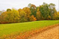 Ohio Farm-Fall Colors