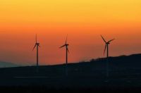 Windmills in Sunset