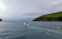Dingle Harbor
