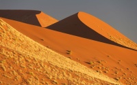 South_Africa_Desert_Namibia