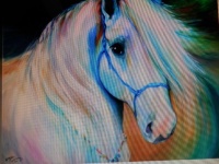 Maddie the Angel Horse.