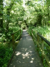 Bridge - path to keep dry feet, in Water Park