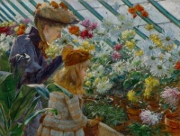 Chrysanthemums