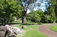 Cowra Japanese Gardens, New South Wales (59)