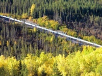 A minute section of the mighty PIPELINE ACROSS ALASKA.