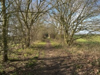Marriotts Way