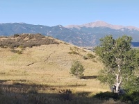 Pikes Peak from Palmer Park