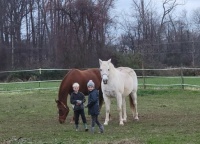 horses and the grand kids