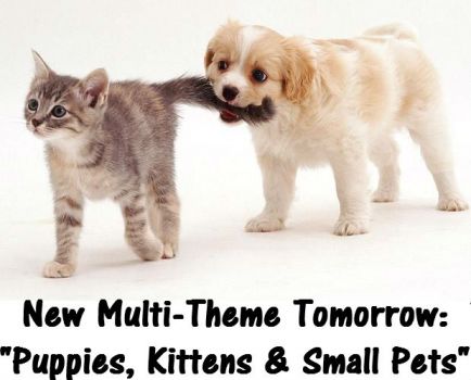 New Theme Tomorrow: "PUPPIES, KITTENS & SMALL PETS"  Have a fun week.
