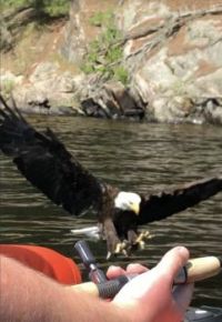 The eagle!