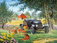 Apple Orchard