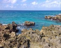 Grand Cayman Shoreline