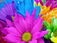 colorful