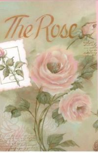 The Rose