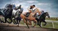 horse race