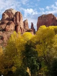 Cathedral Rock above the cottonwoods in Red Rock, Arizona