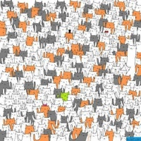 What animal do you see hiding with all these cats? Another tough one. Clue later in comments.