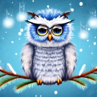 Big Eyed Winter Owl