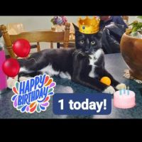Benni's 1st Birthday