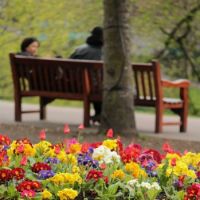 In the park