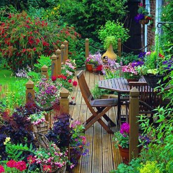 patio garden